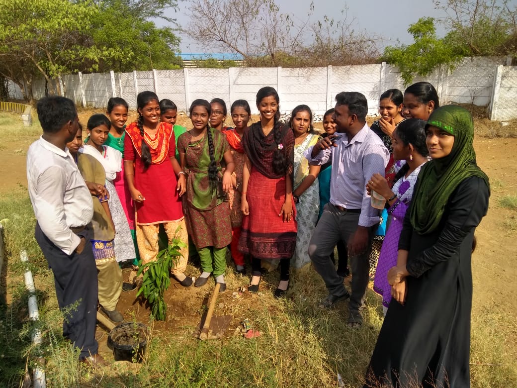 TREE_PLANTATION