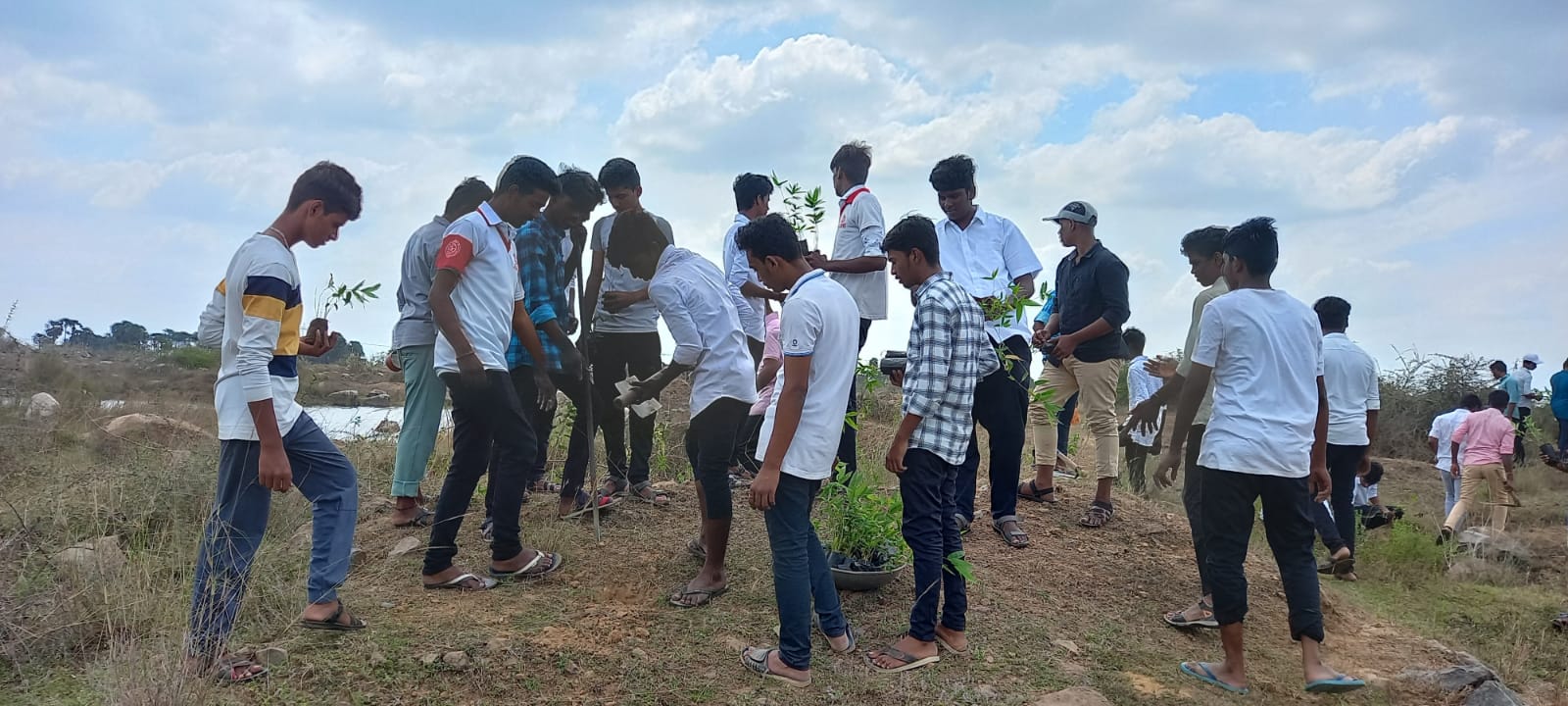TREE_PLANTATION
